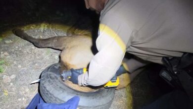 Photo of The tire stuck in the neck of Bara Sangha for two years was removed