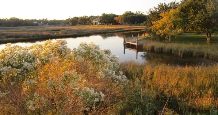 mississippi county is a paradise for nature lovers
