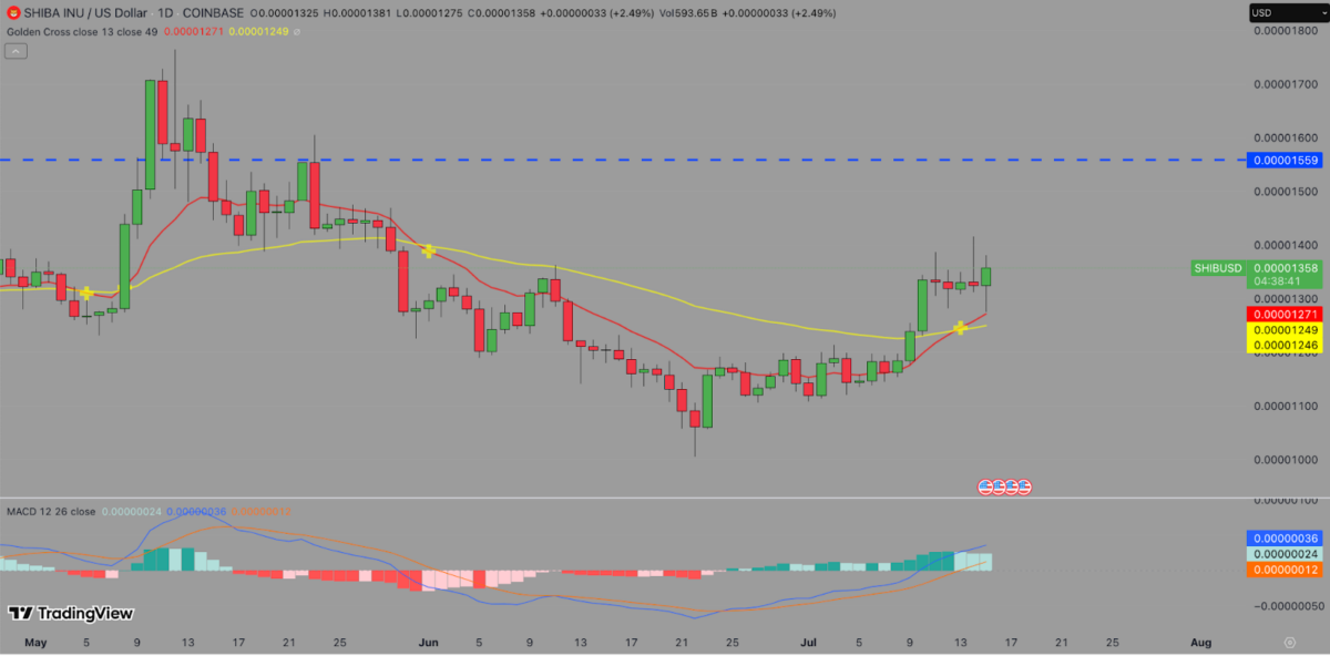 Shiba Inu Price Forecast