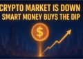 Smart Money Buys the Dip